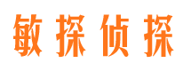 新野外遇调查取证